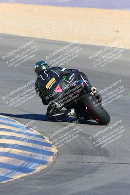 media/Jan-08-2022-SoCal Trackdays (Sat) [[1ec2777125]]/Turn 10 Backside (930am)/